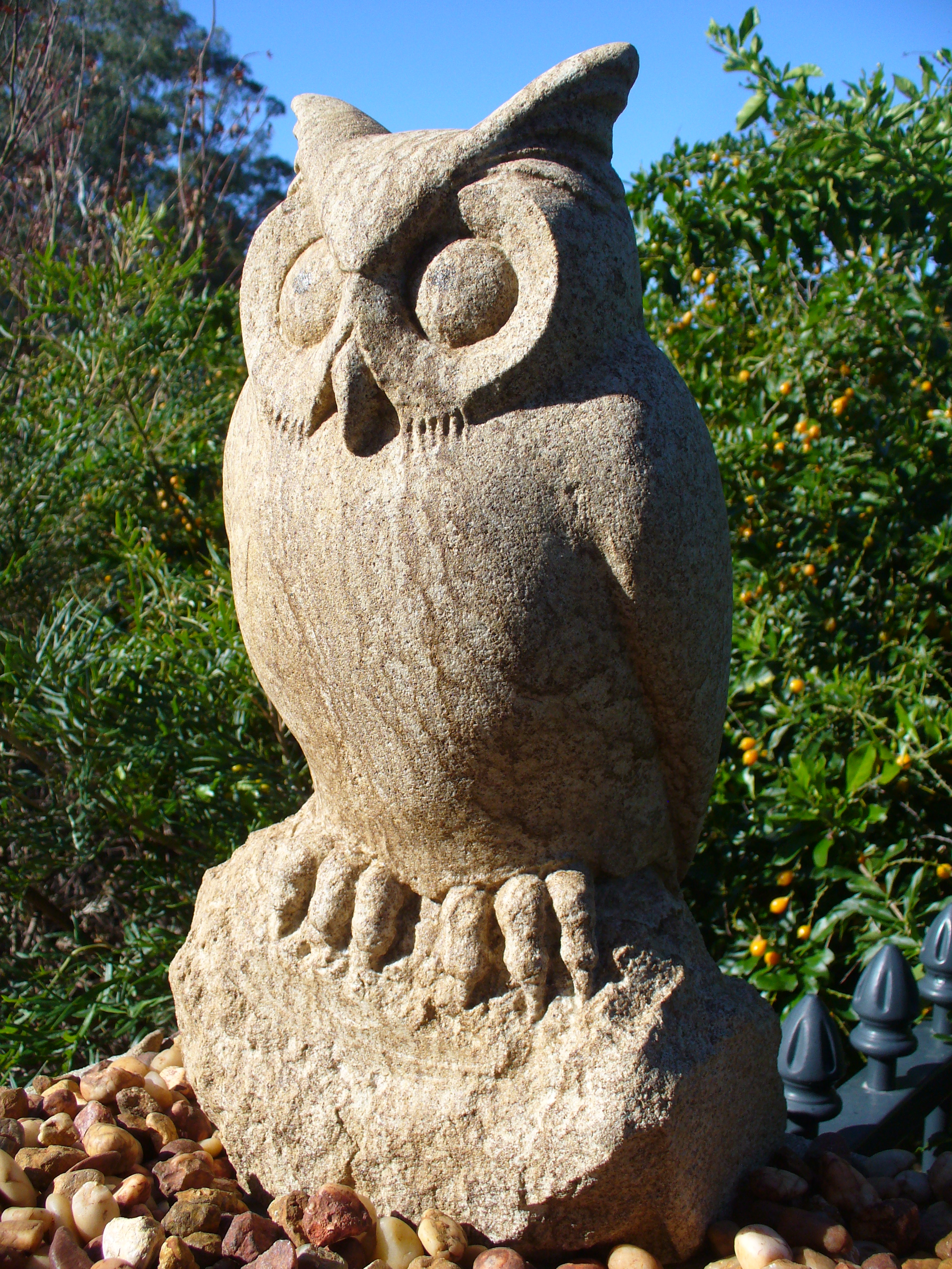 Owl 1